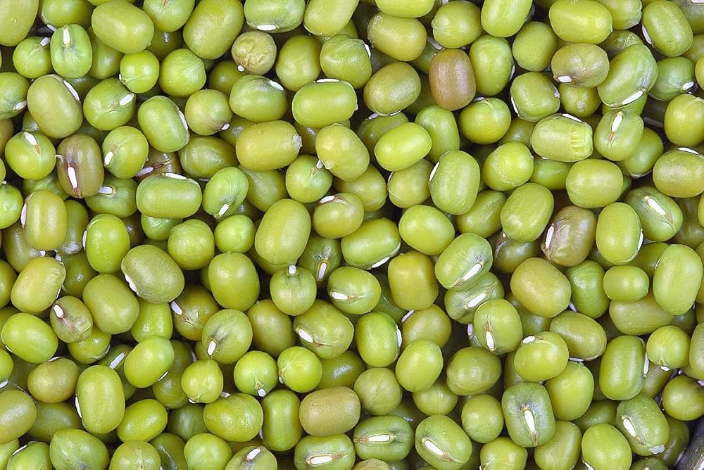Chef Horecana Premium Green Gram (Whole Moong) – Protein-Rich, Farm-Fresh Pulses for HORECA