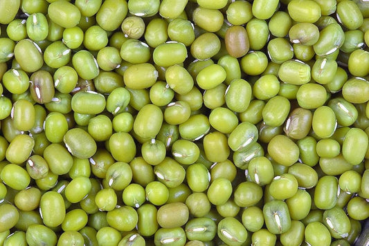 Chef Horecana Premium Green Gram (Whole Moong) – Protein-Rich, Farm-Fresh Pulses for HORECA