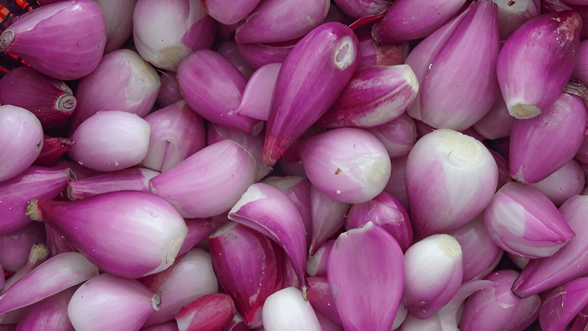 Chef Horecana Peeled Shallots – Ready-to-Cook & Premium Grade 1 Peeled Shallot