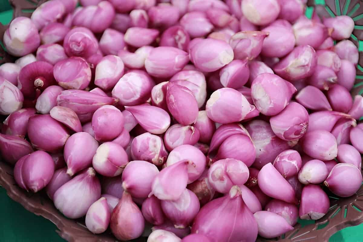 Chef Horecana Peeled Shallots – Ready-to-Cook & Premium Grade 3 Shallot Peeled